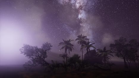 Galaxia-De-La-Vía-Láctea-Sobre-La-Selva-Tropical.